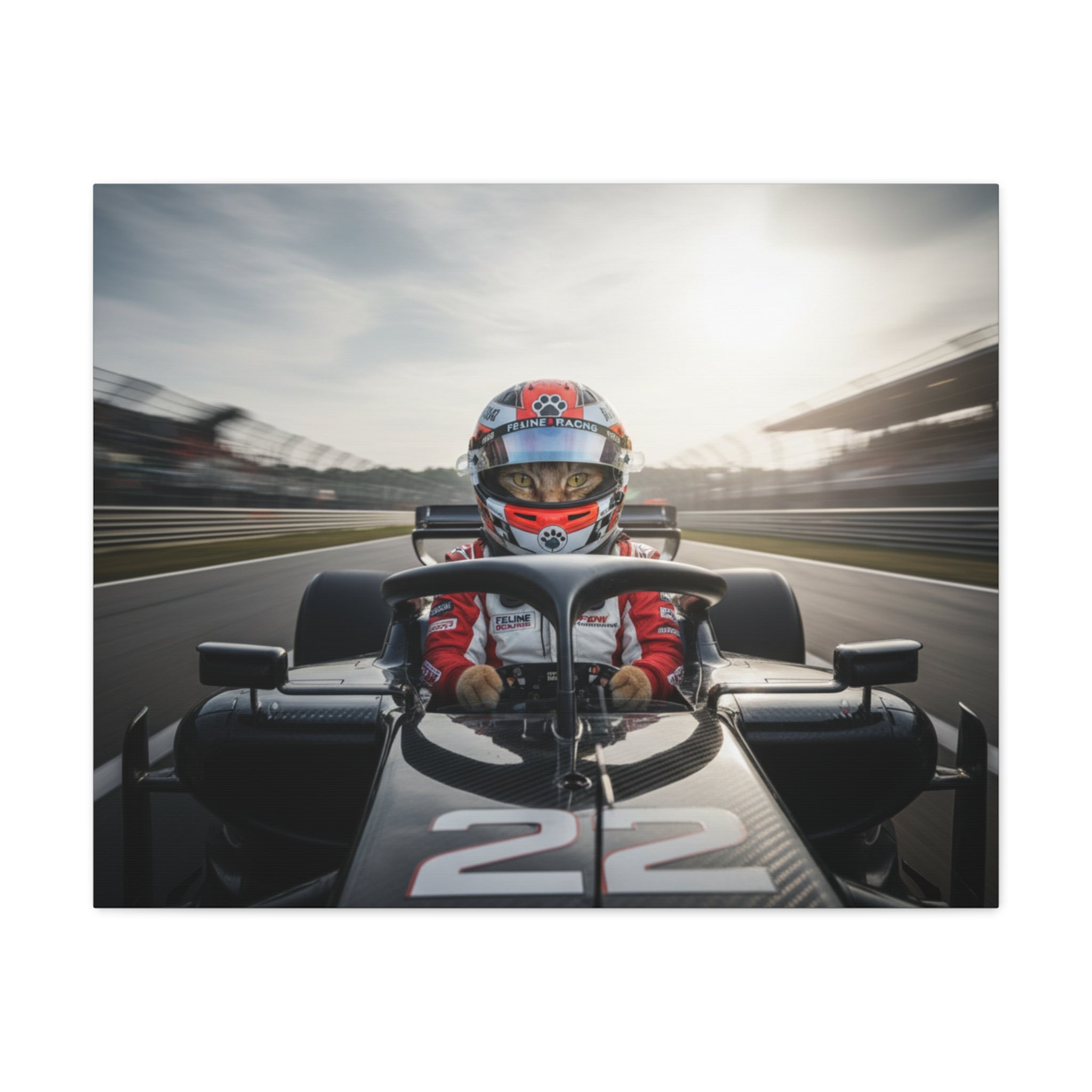 Race Car Driver Canvas Print — Formula Motorsport Wall Art