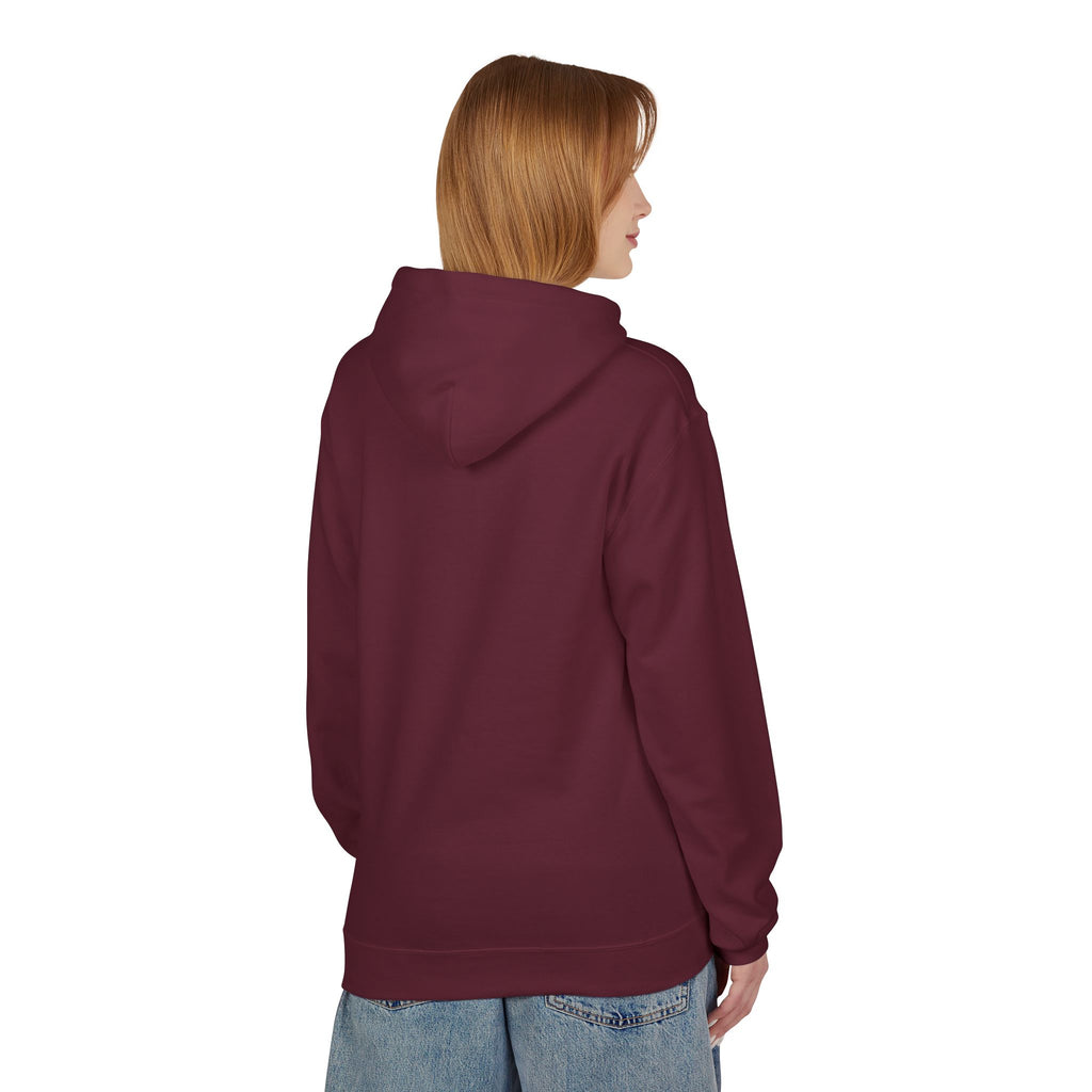 Adventure State Hoodie — 'Rocky Mountain' Scenic Badge Pullover