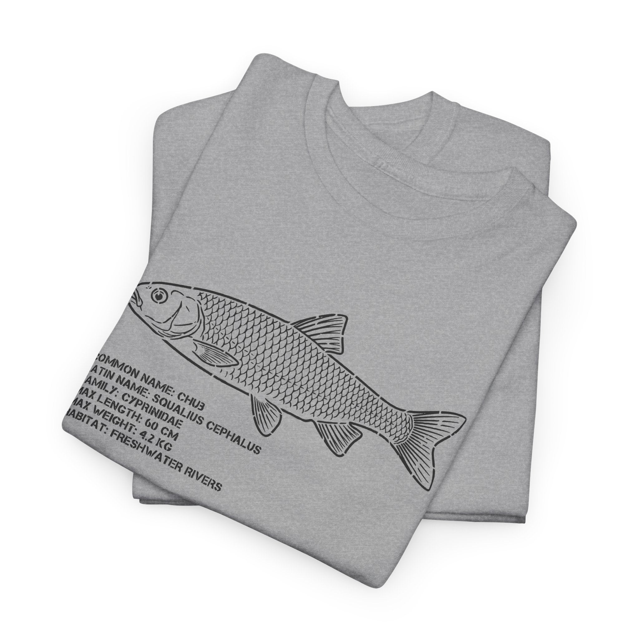 Fish Anatomy Graphic Tee — Scientific Illustration White T-Shirt