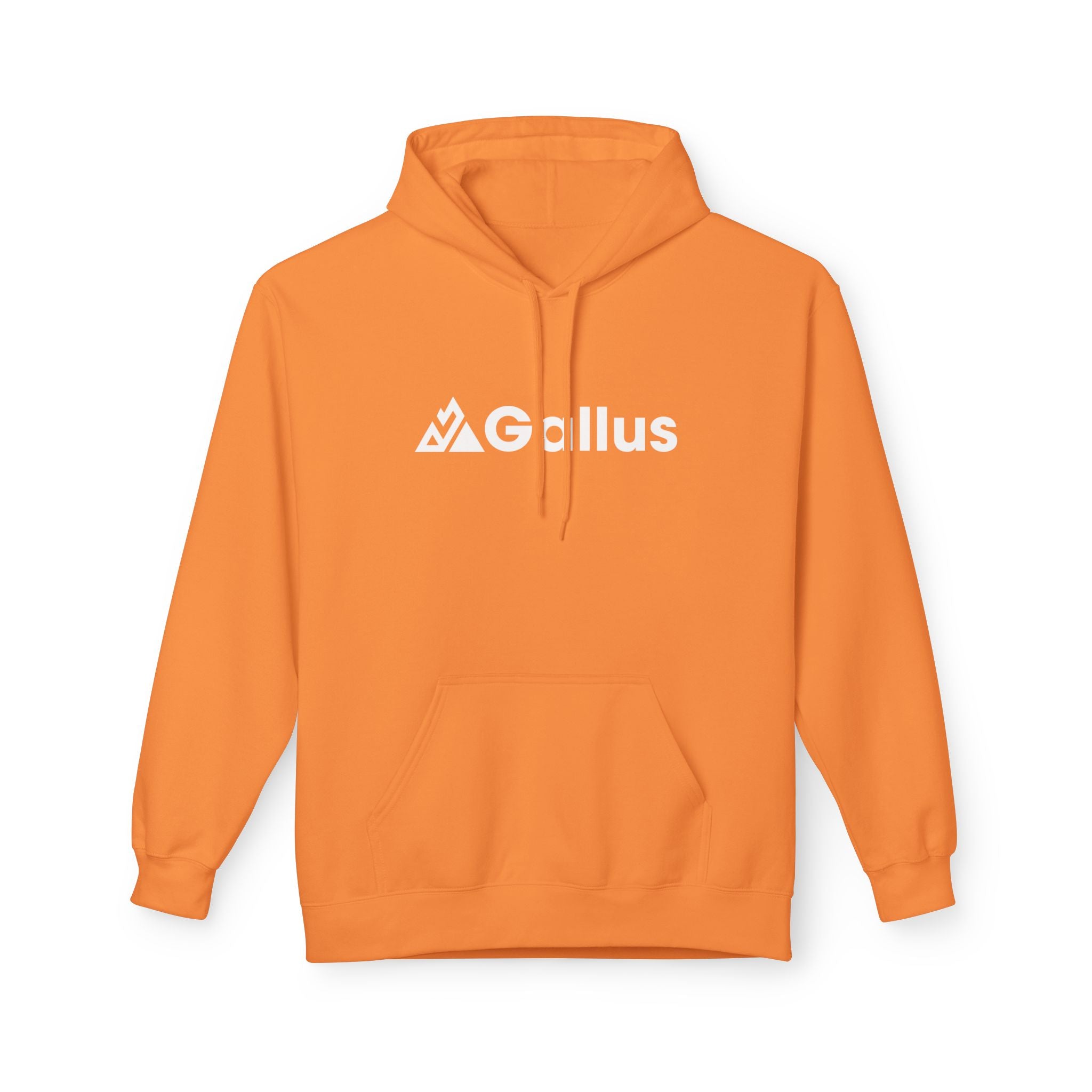 Gallus Mountain Logo Hoodie — Orange Scenic Back-Print Pullover