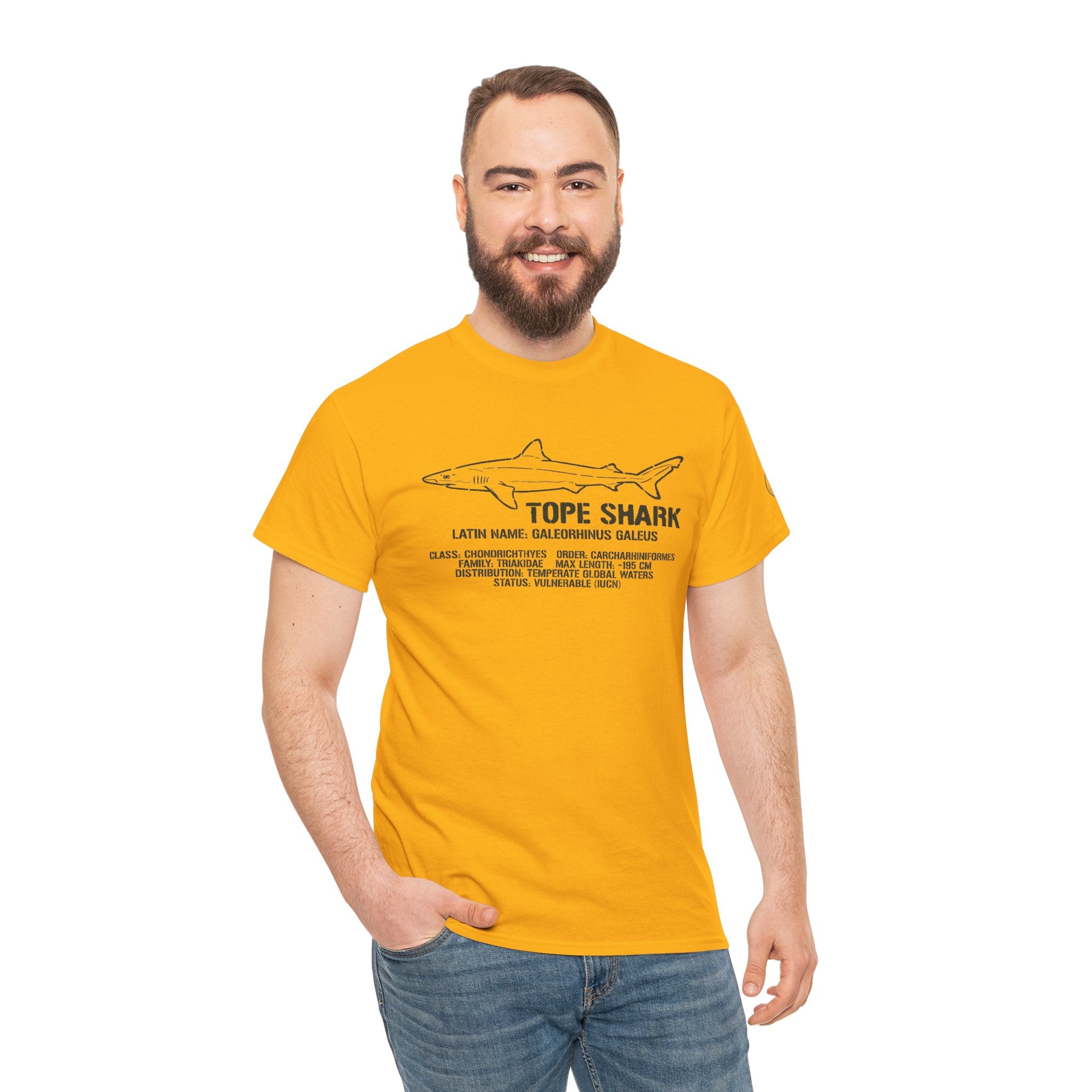 Tope Shark  —  Shark Illustration Tee