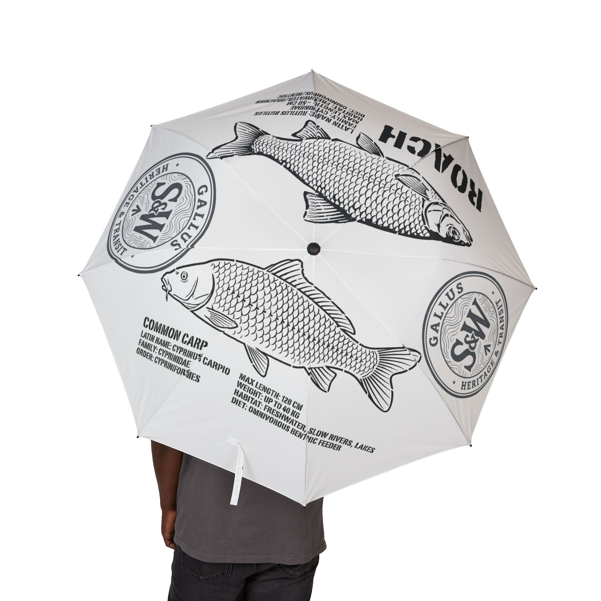 Roach Fish Foldable Umbrella — Compact Semi-Automatic Rain Umbrella with Vintage Angling Print
