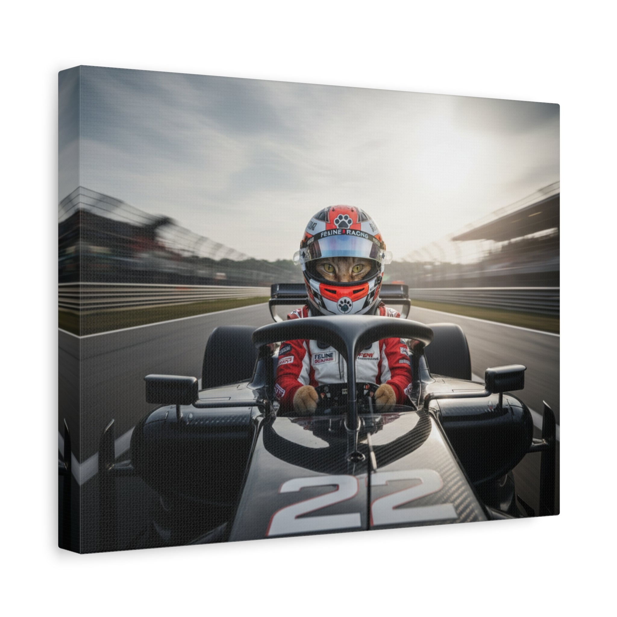 Race Car Driver Canvas Print — Formula Motorsport Wall Art