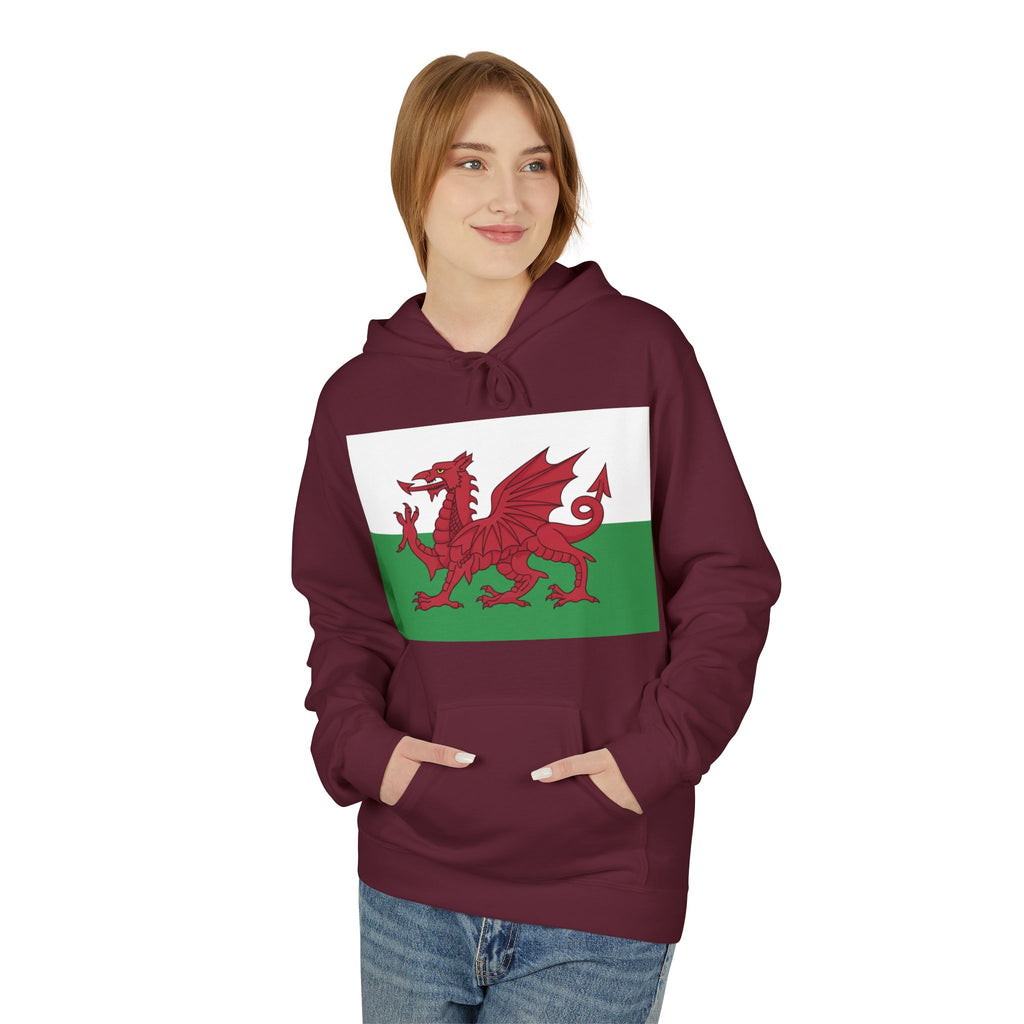Welsh Dragon Hoodie — Retro Flag Front & Cute Red Dragon Back