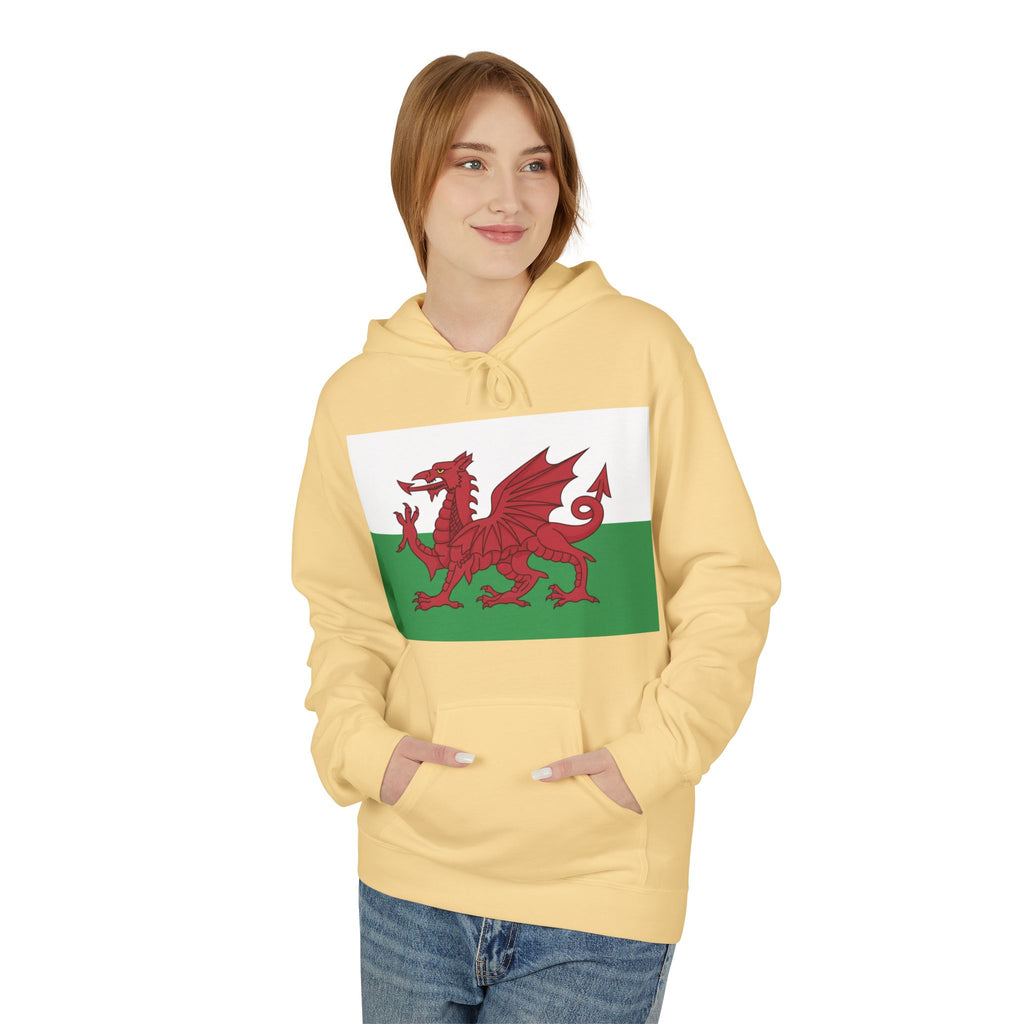 Welsh Dragon Hoodie — Retro Flag Front & Cute Red Dragon Back