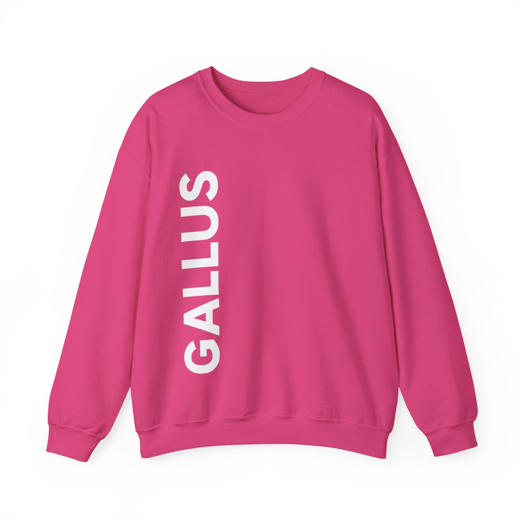 Gallus Compass Crewneck Sweatshirt — "Honestly I Am Not Lost" Graphic
