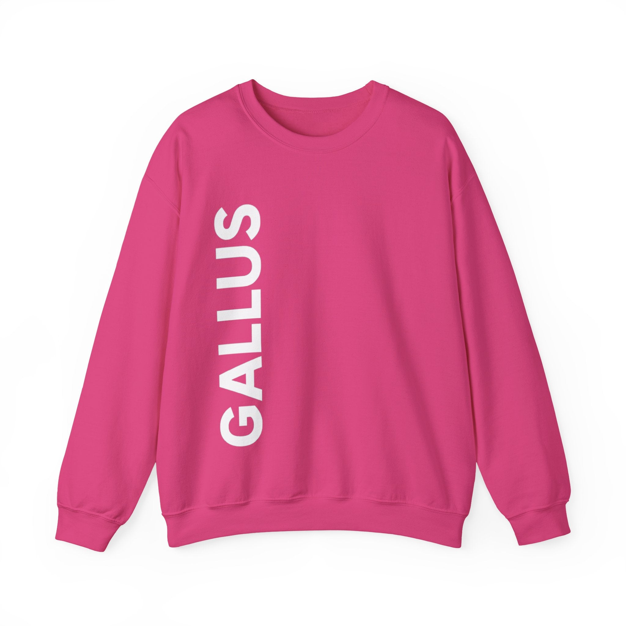 Gallus Compass Crewneck Sweatshirt — "Honestly I Am Not Lost" Graphic