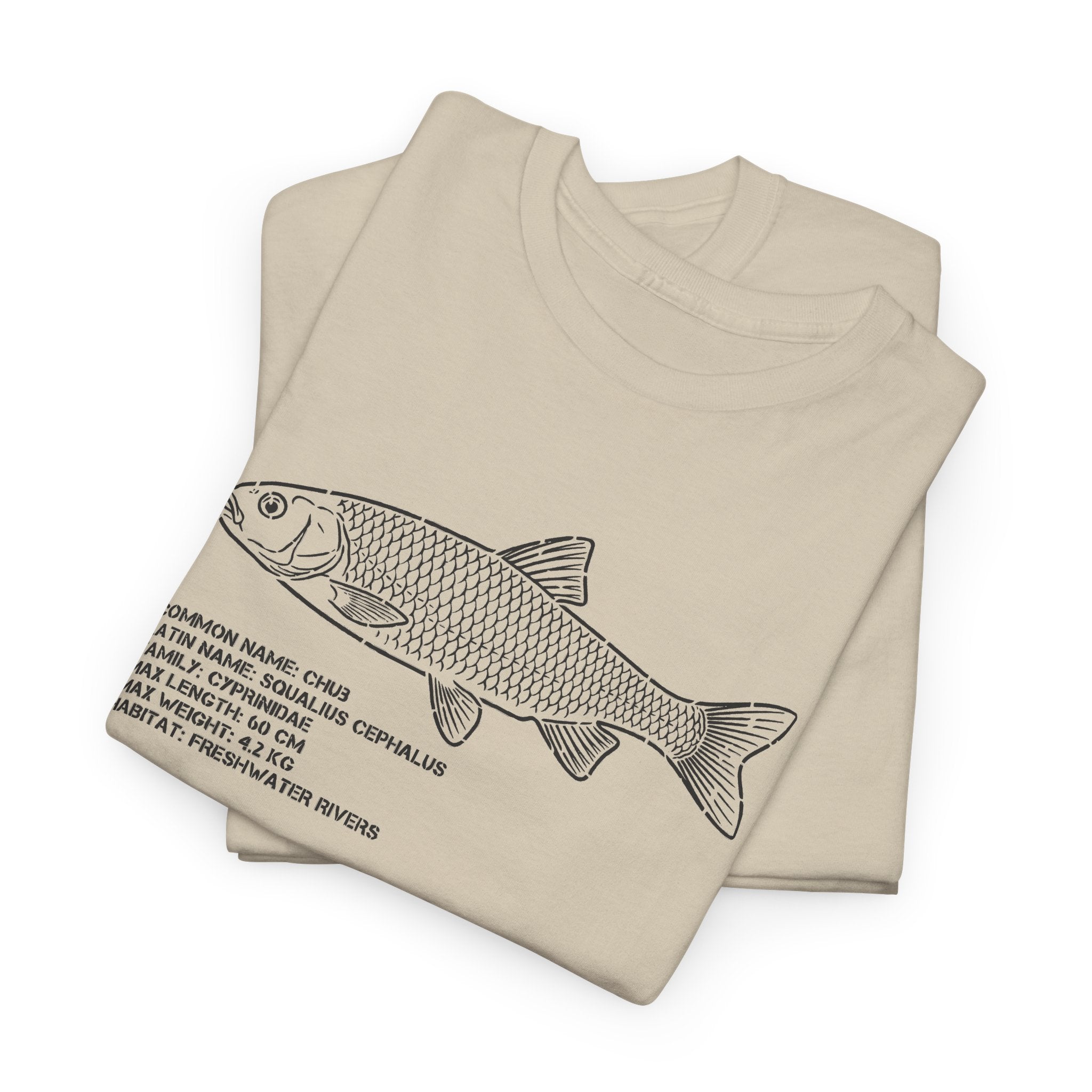 Fish Anatomy Graphic Tee — Scientific Illustration White T-Shirt