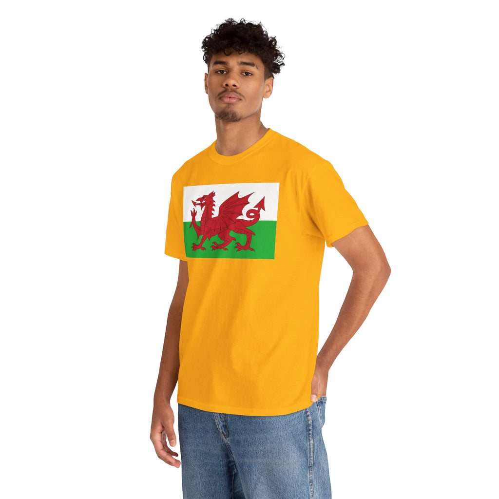 Welsh Dragon T‑Shirt — Cymru Red Dragon Flag Tee