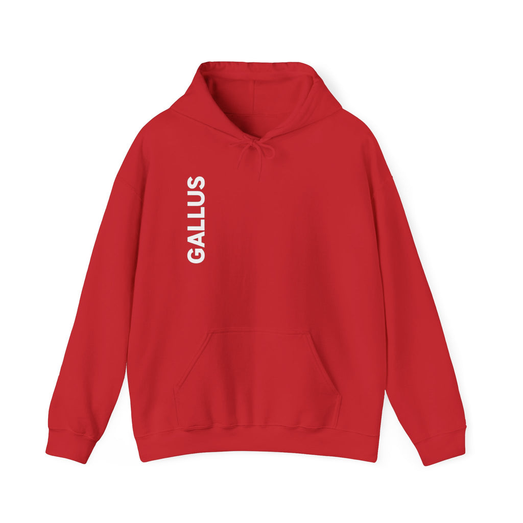 Gallus Compass Hoodie — 'Home Away I Am Not Lost' Travel Adventure Pullover