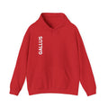 Gallus Compass Hoodie — 'Home Away I Am Not Lost' Travel Adventure Pullover