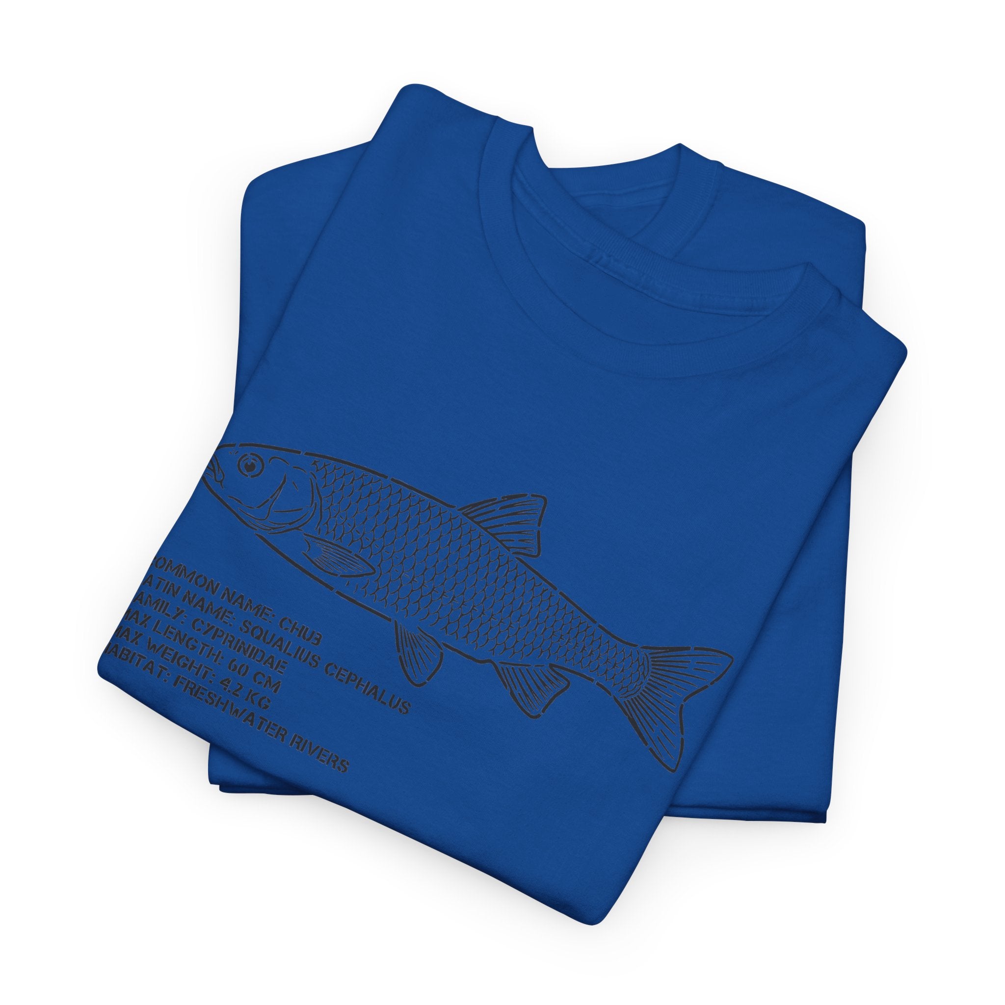 Fish Anatomy Graphic Tee — Scientific Illustration White T-Shirt