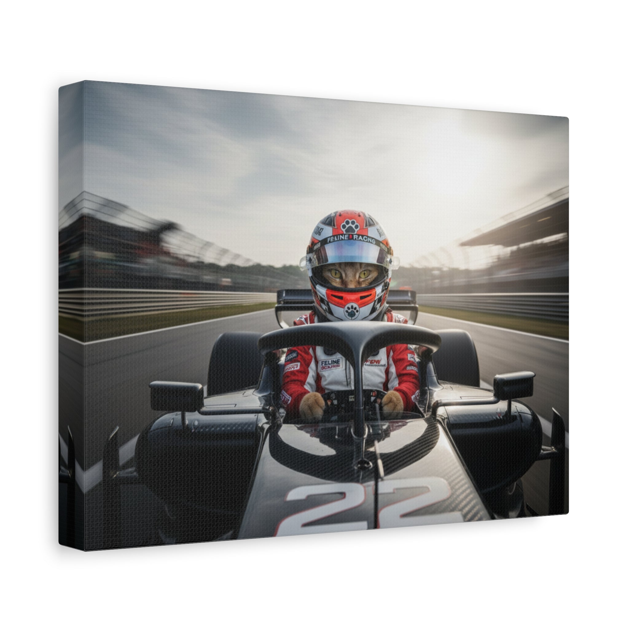 Race Car Driver Canvas Print — Formula Motorsport Wall Art