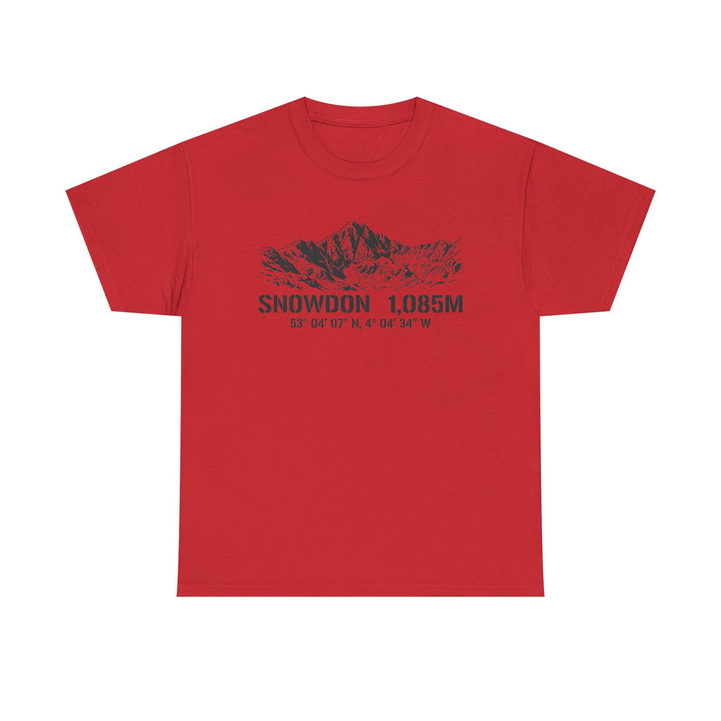 Snowdon 1,085M Mountain Tee with Coordinates