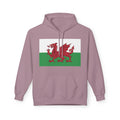 Welsh Dragon Hoodie — Retro Flag Front & Cute Red Dragon Back