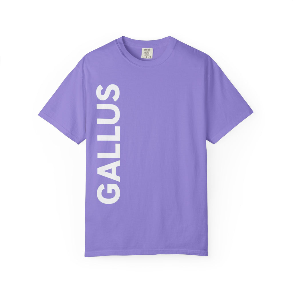 Gallus Compass T-Shirt — 'Honestly I Am Not Lost' Graphic Tee
