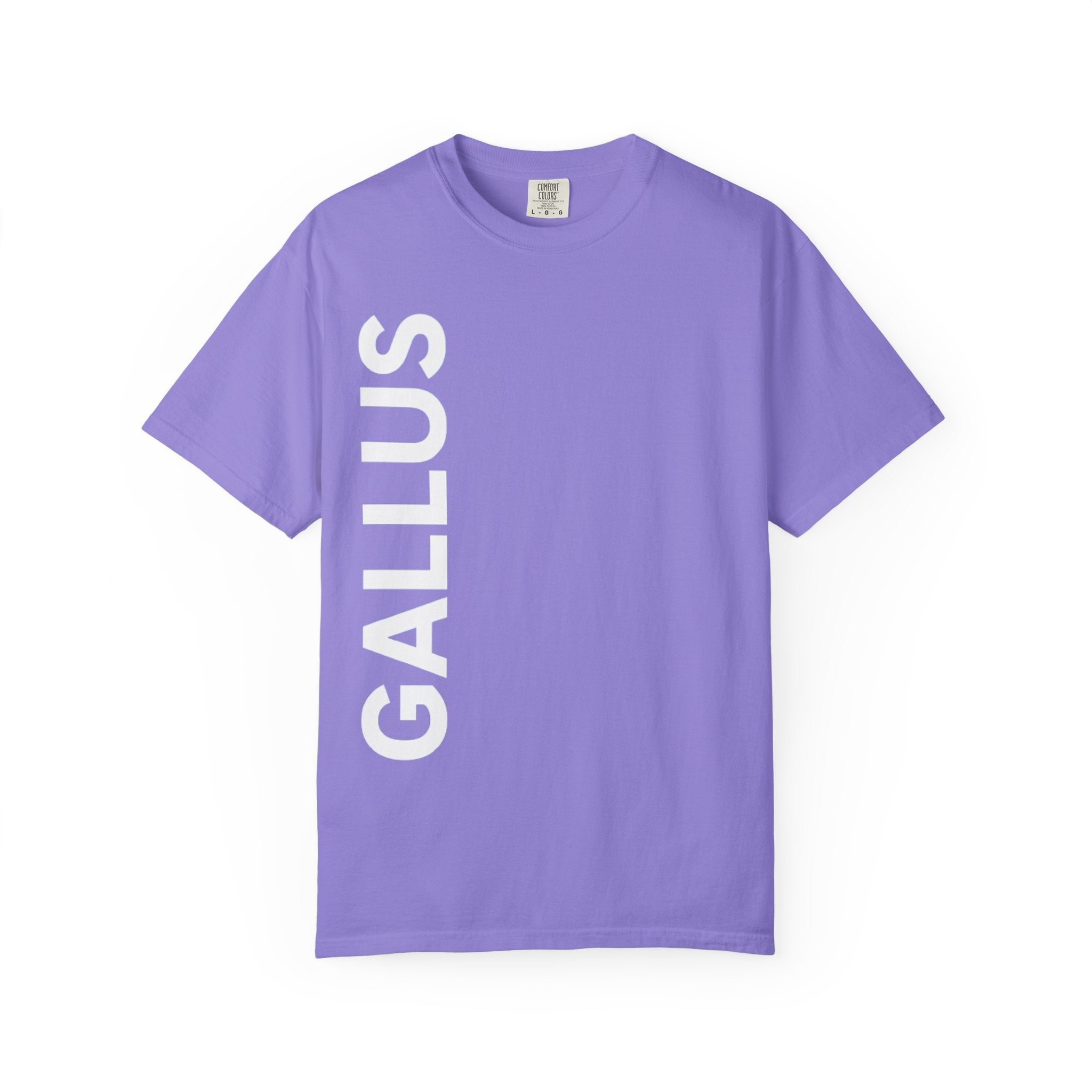 Gallus Compass T-Shirt — 'Honestly I Am Not Lost' Graphic Tee