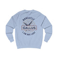 Honestly I Am Not Lost Crewneck Sweatshirt — Gallus Compass Graphic