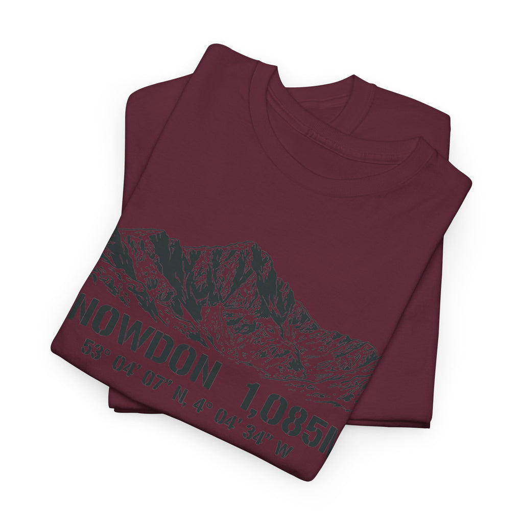 Snowdon 1,085M Mountain Tee with Coordinates