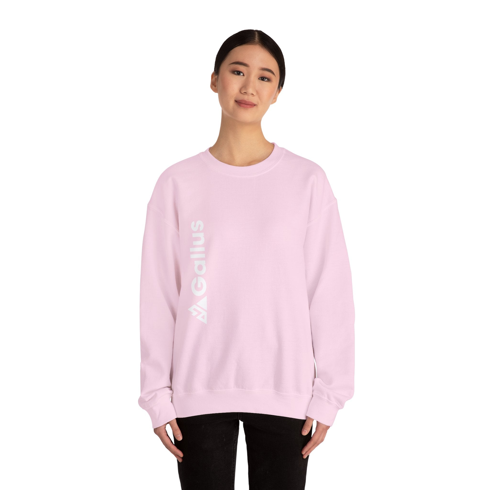 Exploring Not Lost Crewneck Sweatshirt — Mountain Compass Adventure Graphic