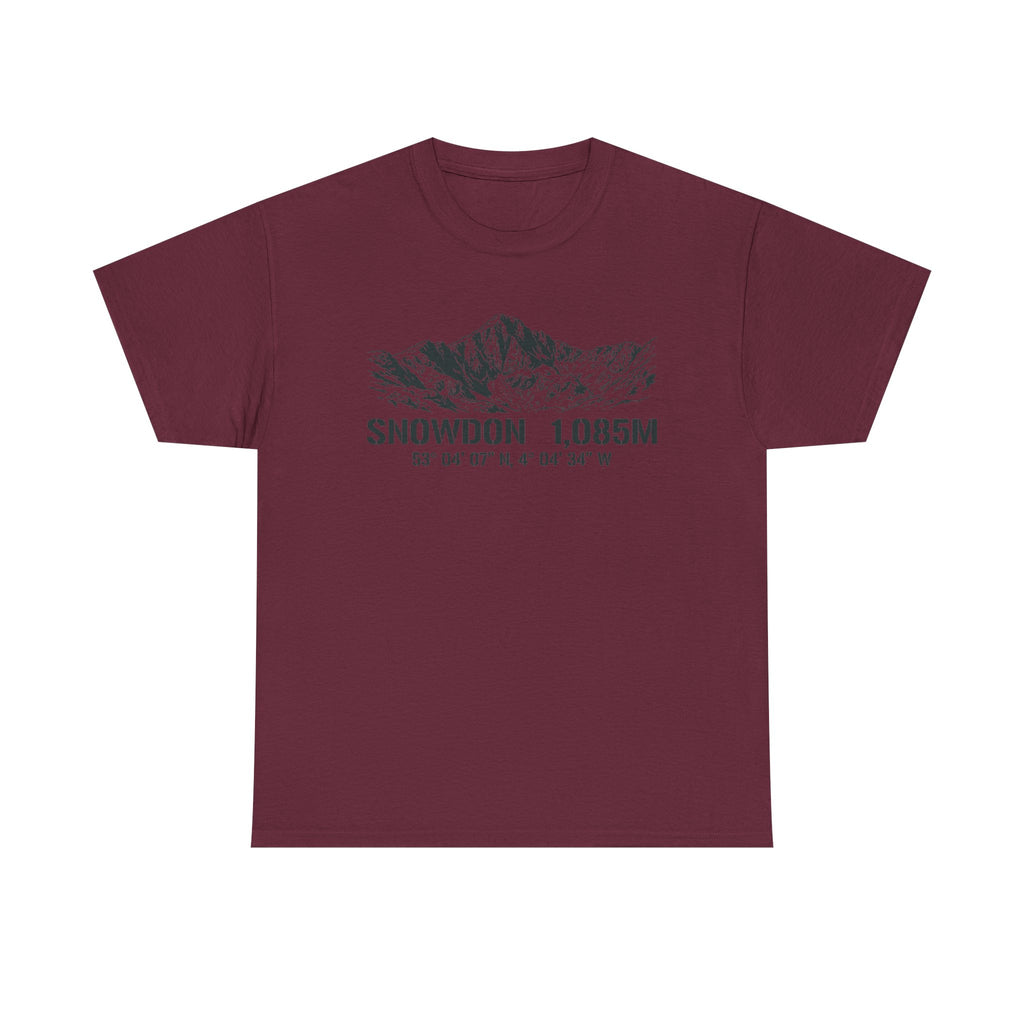 Snowdon 1,085M Mountain Tee with Coordinates