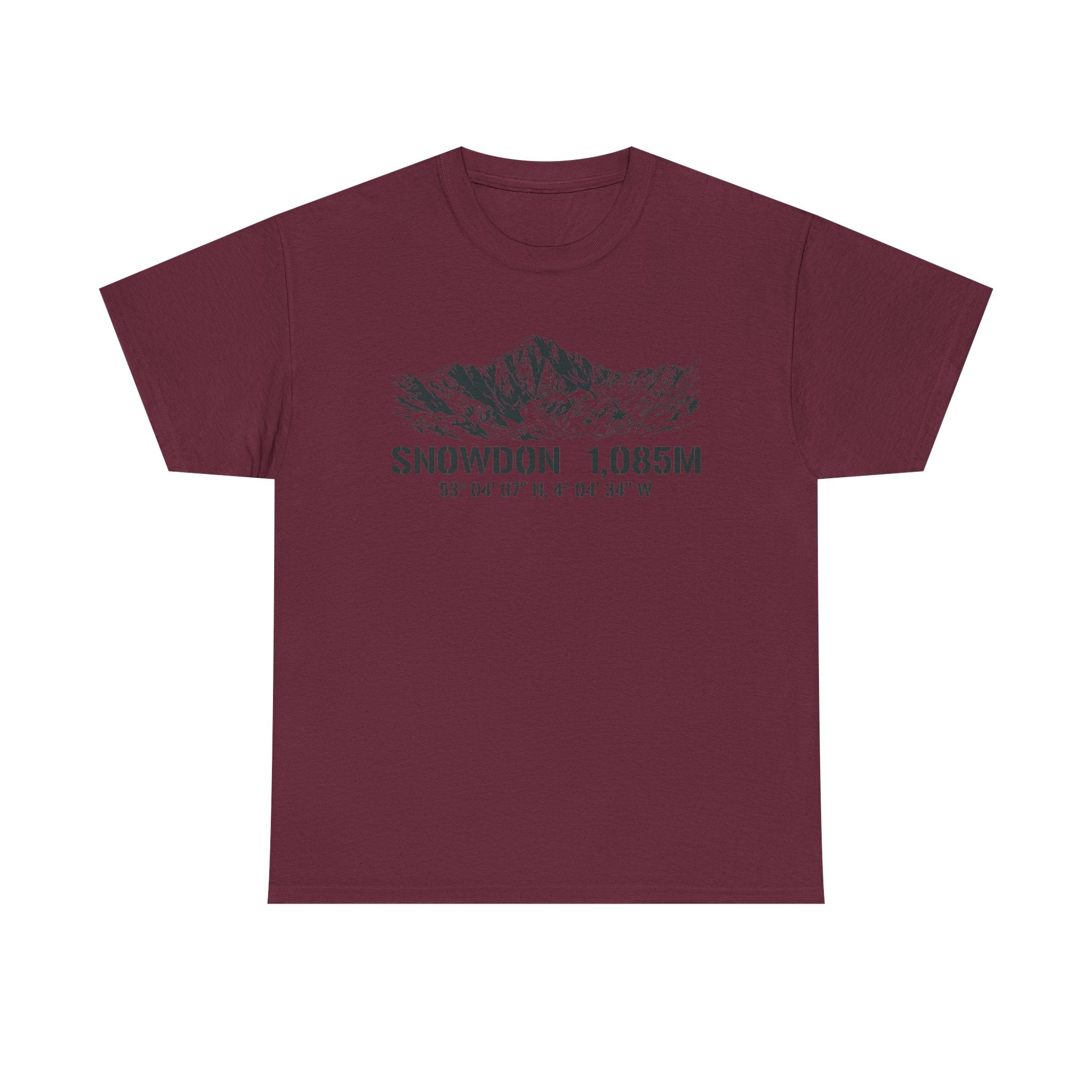 Snowdon 1,085M Mountain Tee with Coordinates